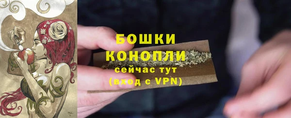 apvp Туринск