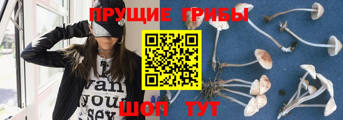 Псилоцибиновые грибы ЛСД Балаково